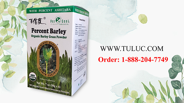 Ashitaba Percent Barley Green